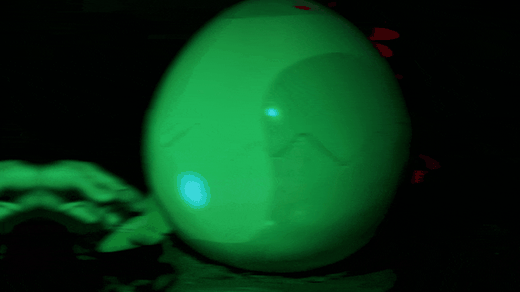 A Cool Cats egg glowing in the dark
