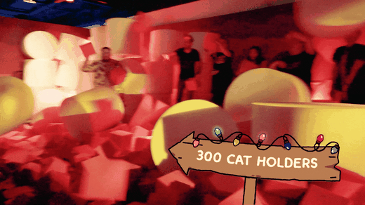 Marshmallow Mountain, 300 cat holders deep in the foam
