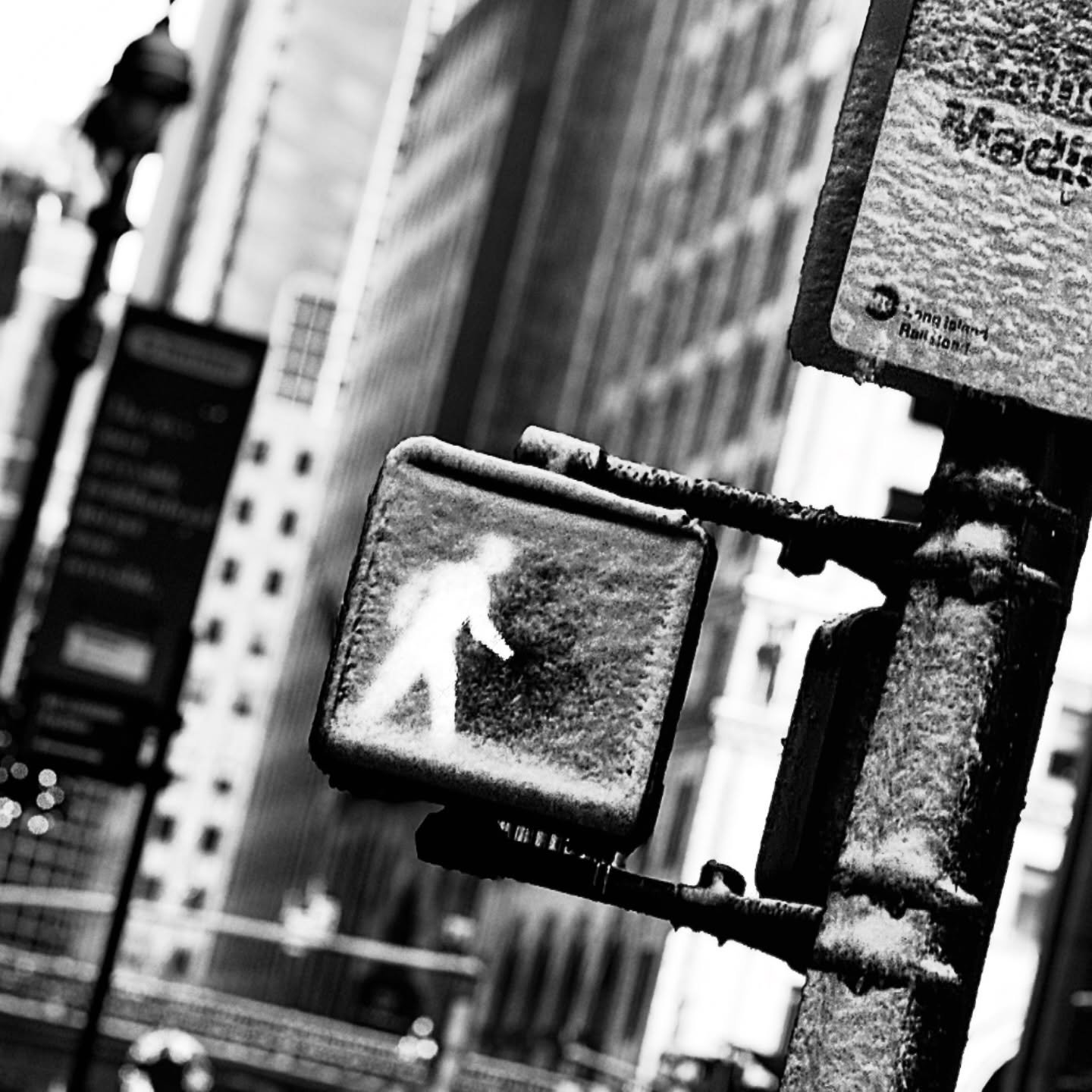 Black and white photograph 1 from Whispering Lights