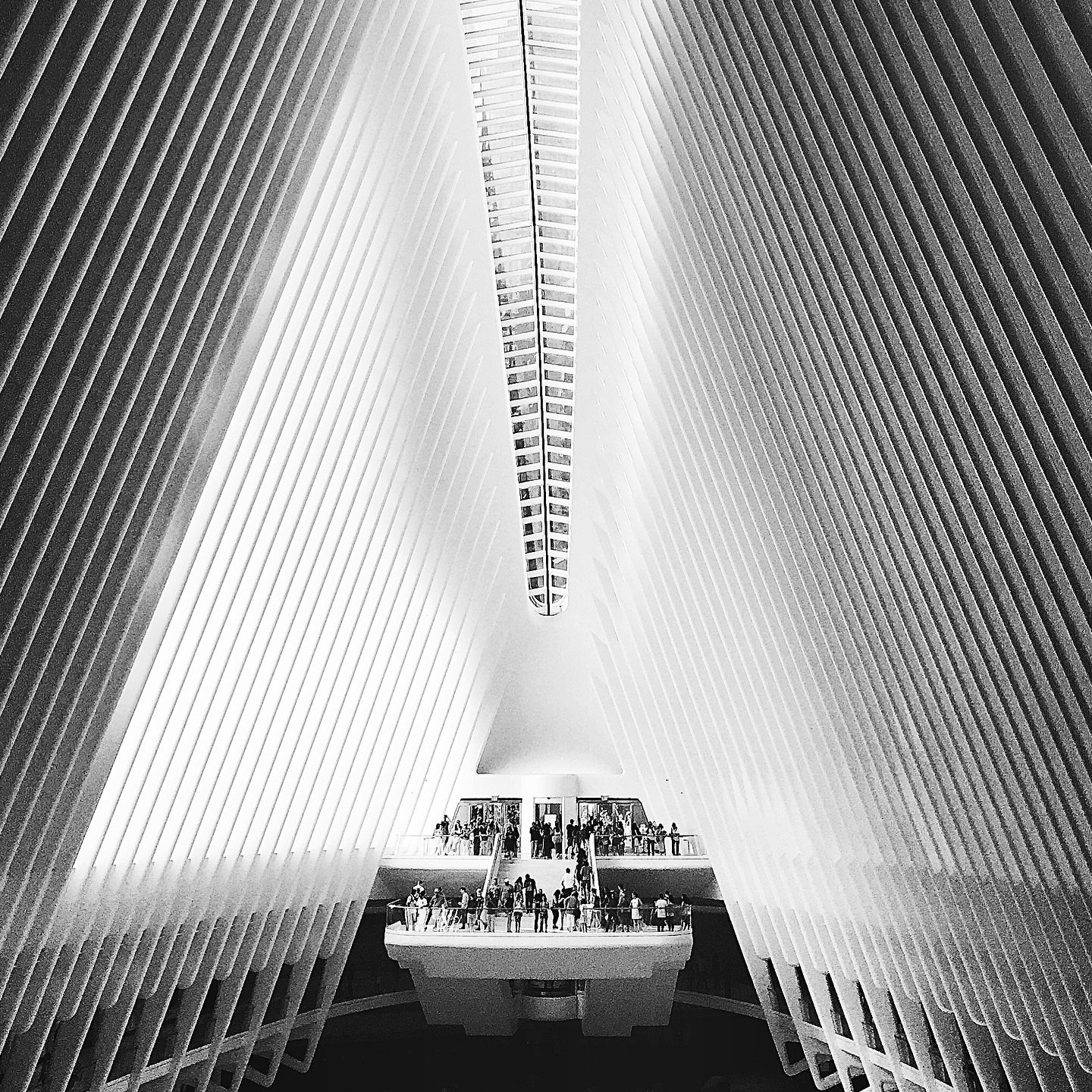 Black and white photograph 5 from Whispering Lights