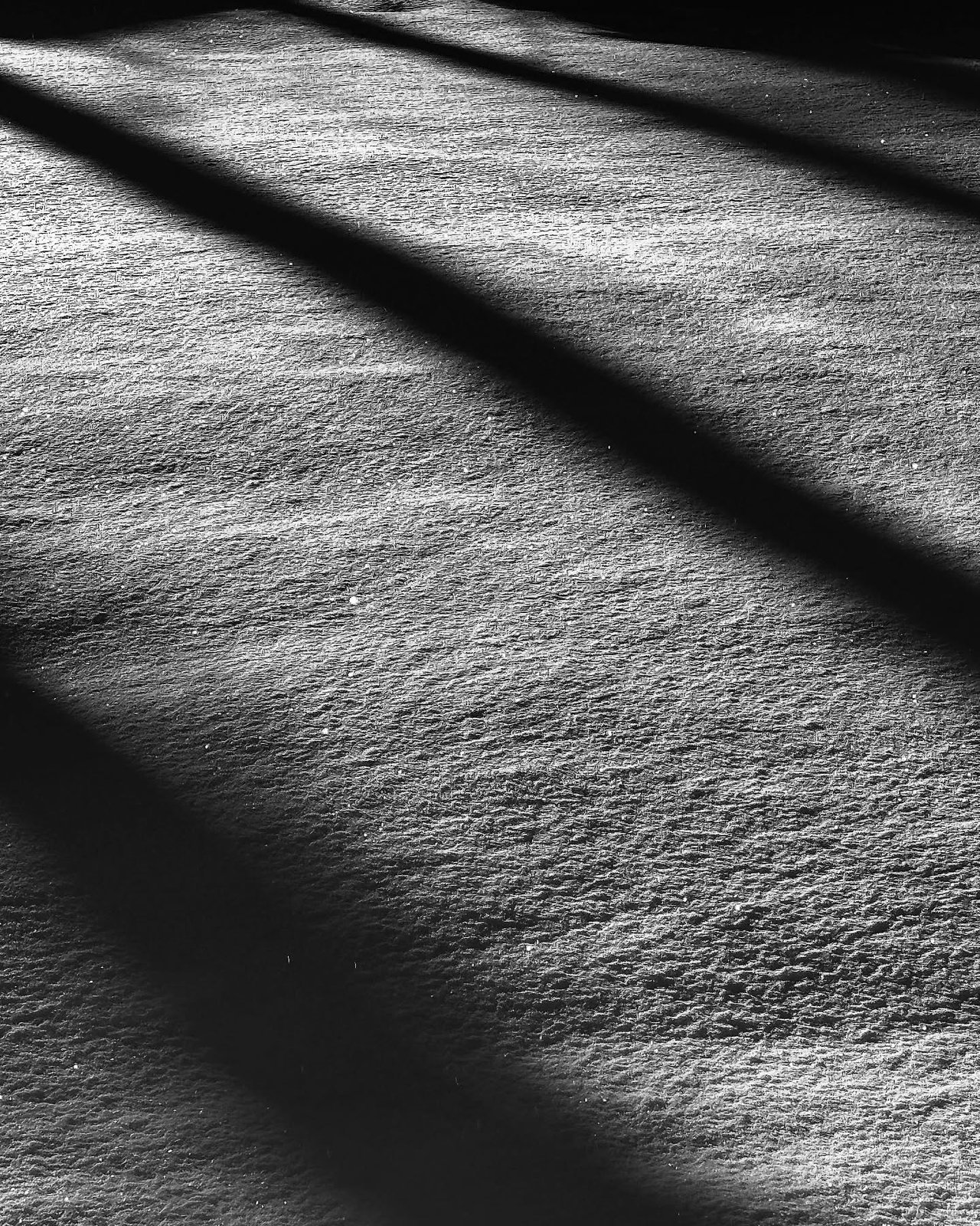 Black and white photograph 6 from Whispering Lights