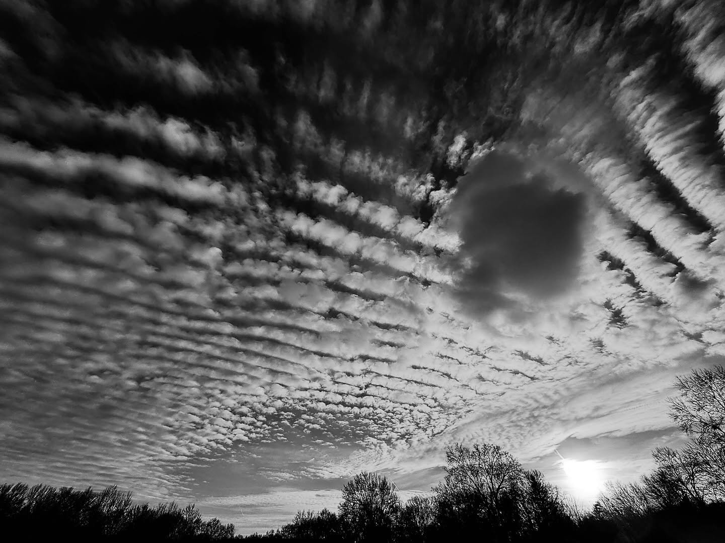 Black and white photograph 7 from Whispering Lights
