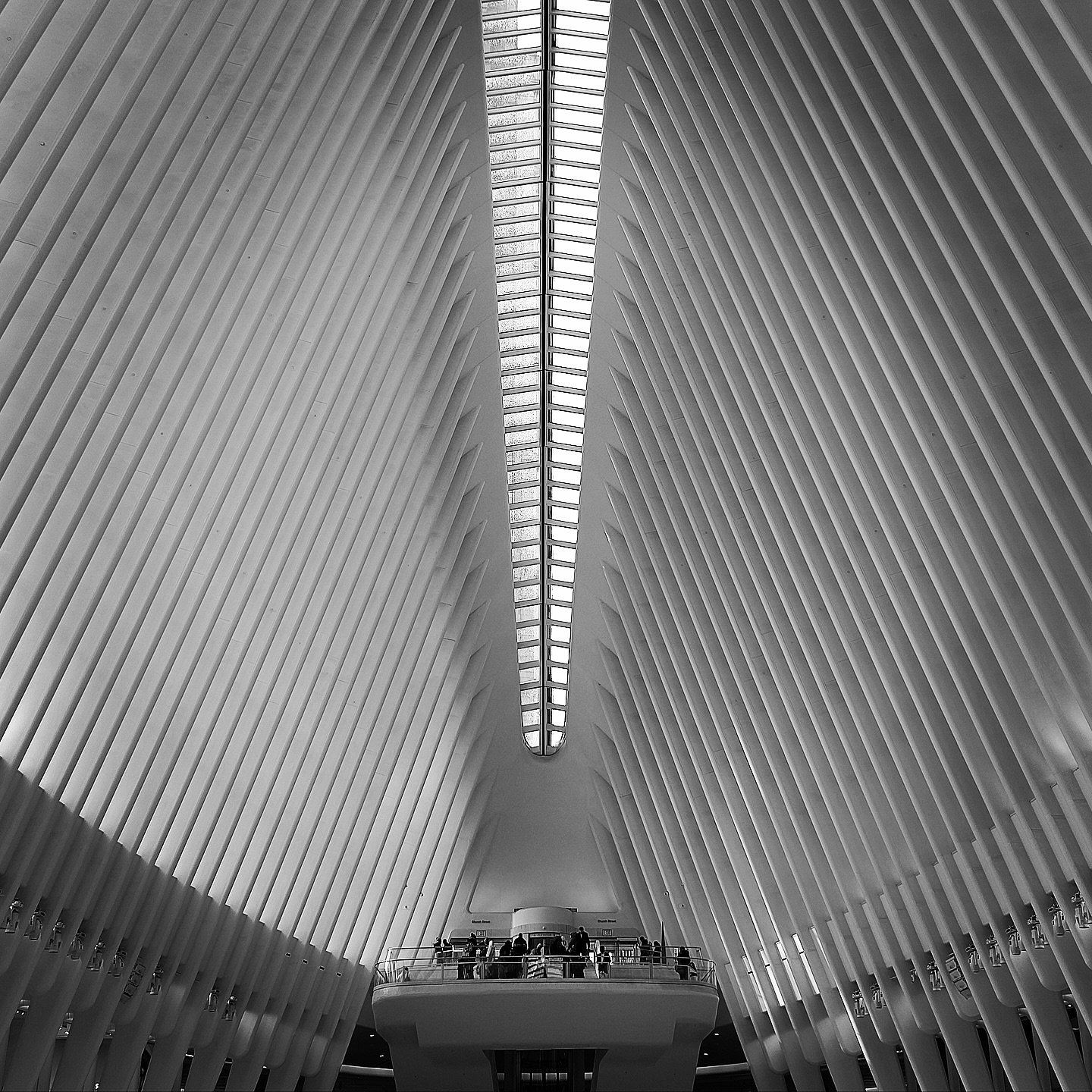 Black and white photograph 33 from Whispering Lights