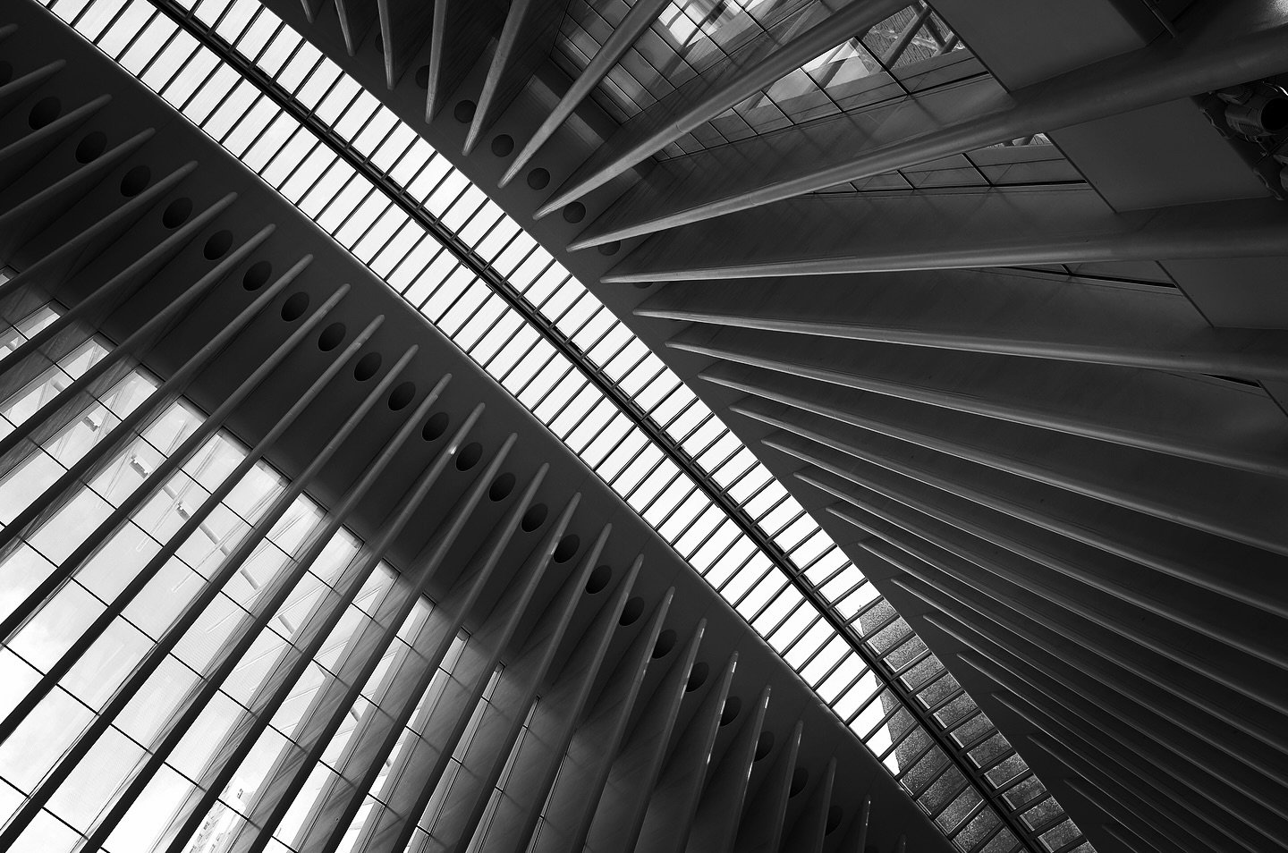 Black and white photograph 34 from Whispering Lights