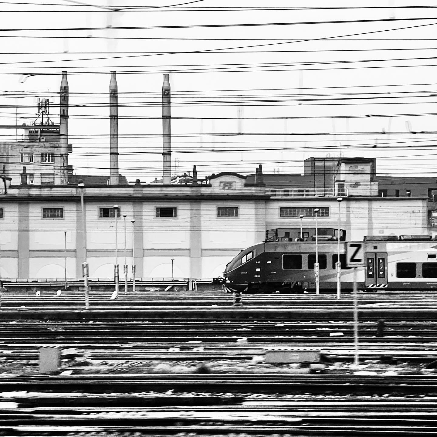 Black and white photograph 81 from Whispering Lights